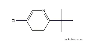 Molecular Structure of 56029-44-8 (2-tert-butyl-5-chloropyridine)